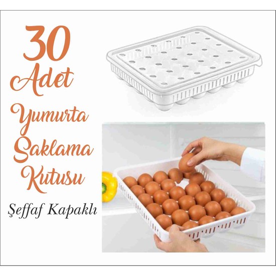 30 Bölmeli Yumurta Saklama Kabı Yumurta Saklama Kutusu Fiyatı