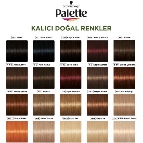 Schwarzkopf Palette Kal C Do Al Renkler Gece Mavisi Sa Fiyat