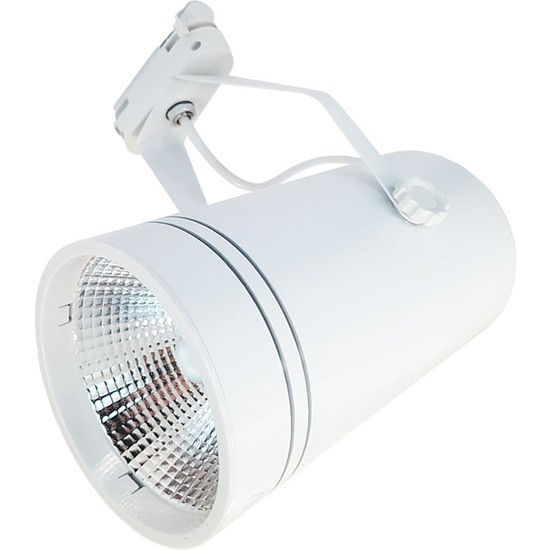 Ack AD30 01930 6500K Beyaz 30W Beyaz Kasa Cob LED Ray Spot Fiyatı