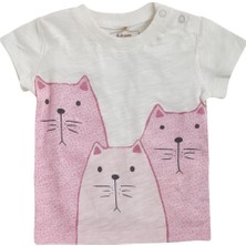 Soobe Ms Cat Kısa Kol T-Shirt Ve Şort Set Ekru 3 - 6 Ay