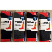 Şirin Erkek 6'Li Paket Termal Çorap 9550