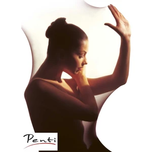 Fit 15 Parlak Külotlu Çorap