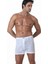 116 Penye Boxer 1