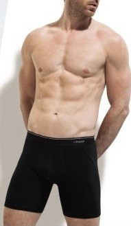Erdem 3'lü paket 1470 Uzun Erkek Boxer görsel 3