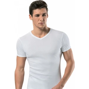 3'lü paket 1198 V YakaErkek Tshirt