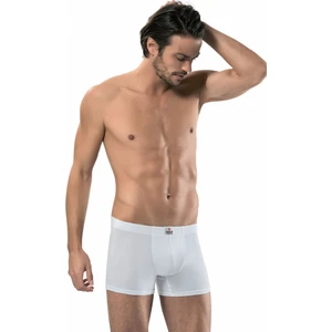 3'lü paket 1420 Erkek Boxer