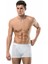 1445 Erkek Boxer 1