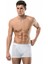 1445 Erkek Boxer 1