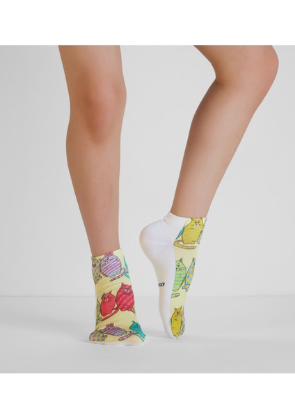 Patik Çorap fiyatları