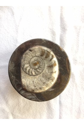 Ammonit Fosilli Dekoratif Mücevher Kutusu