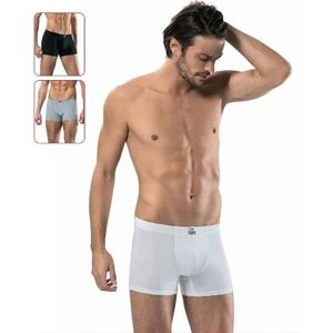 1420 Erkek Boxer - 3'lü Paket