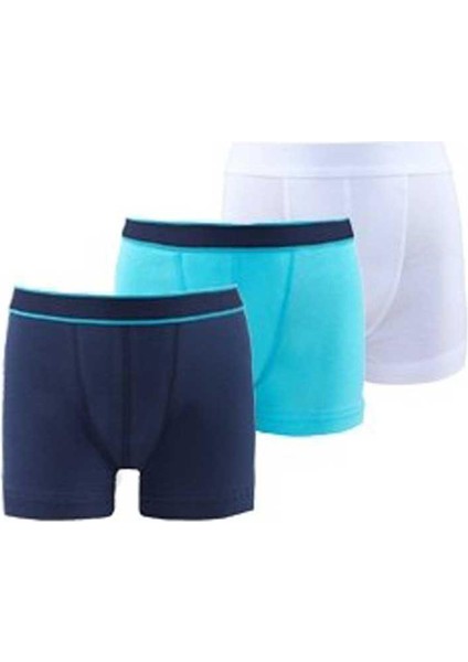 Boxer