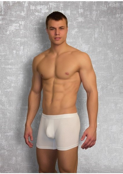 1722 Erkek Boxer
