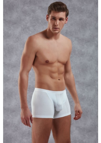 1770 Adonis Boxer