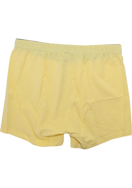 Penye Boxer TDNPNY016