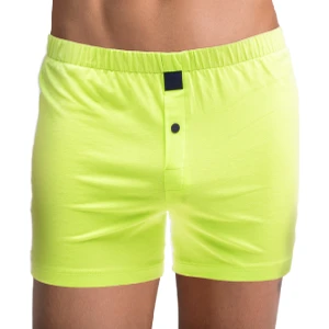 TheDON Fıstık Yeşili Jersey Penye Örme Boxer