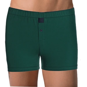 The Don Koyu Yeşil Jersey Penye Boxer