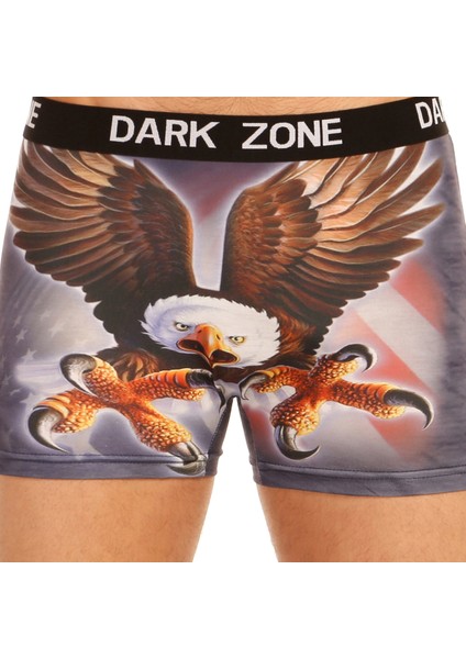 3D Erkek Boxer Dzn1013