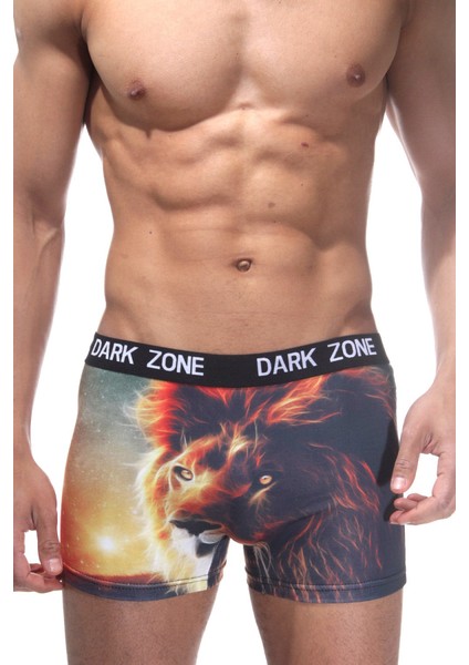 Lion 3D Erkek Boxer Dzn1052Rnk