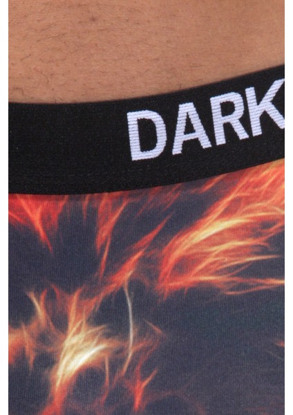 Lion 3D Erkek Boxer Dzn1052Rnk