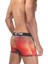 Lion 3D Erkek Boxer Dzn1052Rnk 2