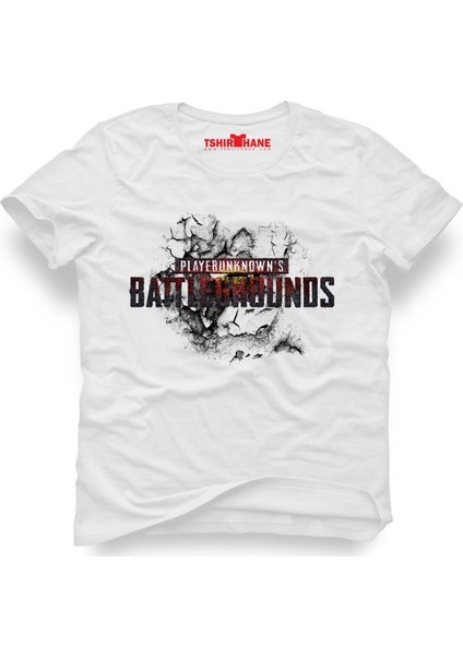 Pubg Alev Beyaz Erkek T-Shirt