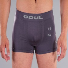 Ödül 2074 Erkek Boxer Antrasit