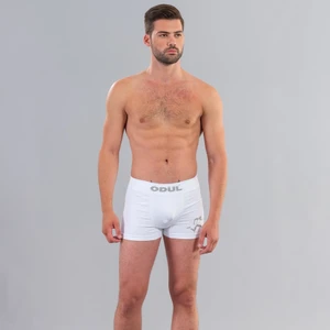 2073 Erkek Boxer Beyaz