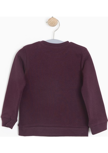 Erkek Bebek Sweatshirt Bordo (9 - 24 Ay)