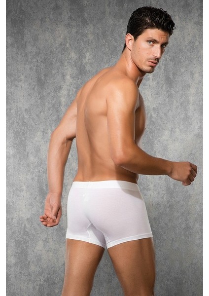 Erkek Boxer 1722 fiyatları