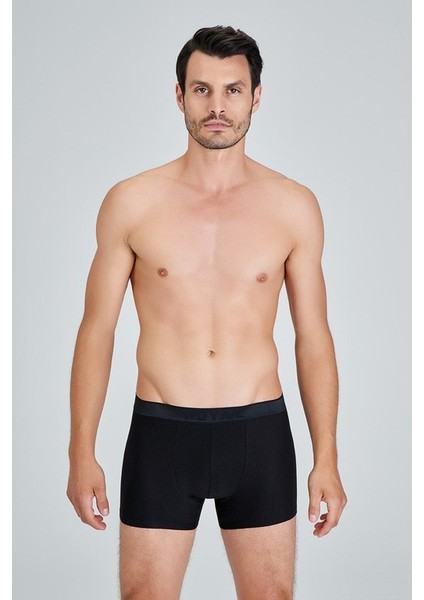 Luca Erkek Boxer