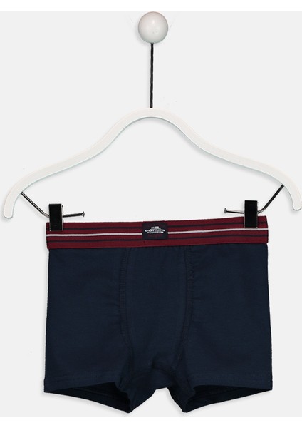 Boxer 3'Lü modelleri