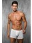 Erkek Boxer 1722 1