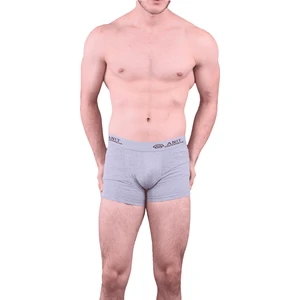 1115 Boxer