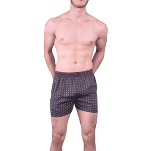 1162 Boxer