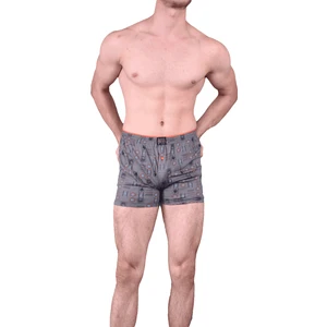 1162 Boxer