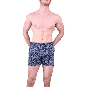 1162 Boxer