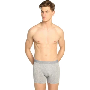 Likralı Erkek Boxer Gri
