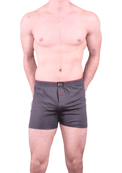 1146 Boxer