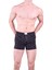1162 Boxer 1