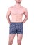 1162 Boxer 1