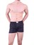 1162 Boxer 1
