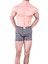 1162 Boxer 1
