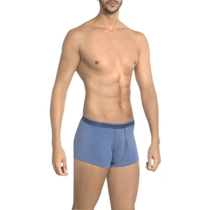 Dennis Cotton Erkek Boxer