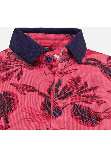 Erkek Bebek Polo Yaka T-Shirt modelleri