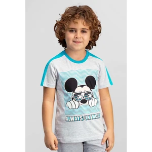 Mickey & Minnie Mouse Lisanslı Açık Gri Erkek Çocuk T-Shirt