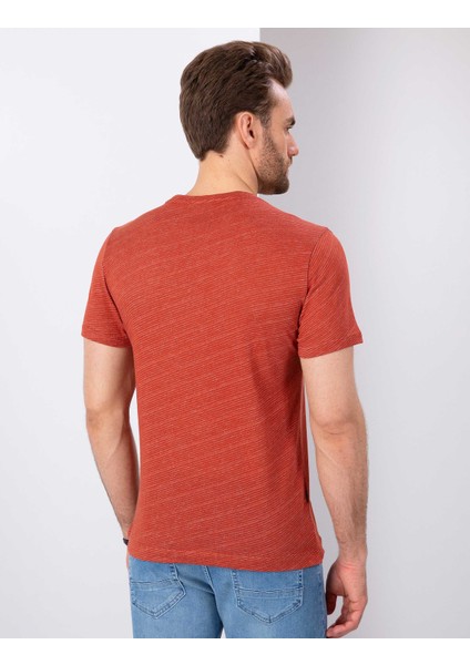 Erkek Kiremit Slim Fit Bisiklet Yaka Tişört 50200628-VR031