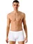 Düşük Bel Modal Boxer 1250 1