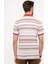 Erkek Kiremit Regular Fit Polo Yaka Tişört 50206204-VR031 3