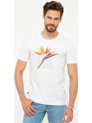 Pierre Cardin Erkek Beyaz Slim Fit Bisiklet Yaka T-Shirt 50203591-VR013